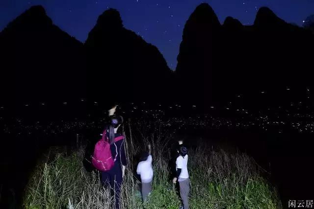 五大公募评市场异动:两因素致核心股指震荡下行 部分领域的细分龙头公司已极具性价比